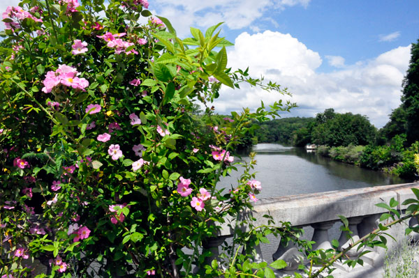 Rocky Broad River Bridge